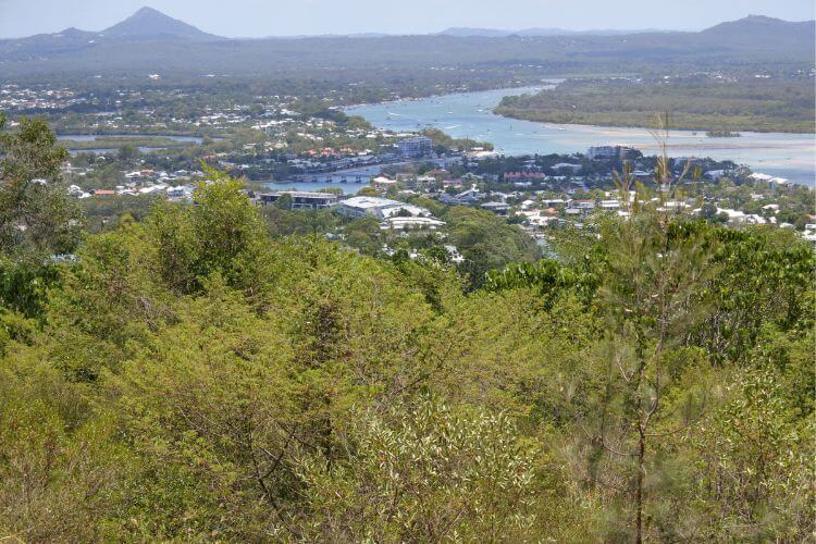 Aerial View of Noosa Heads on the Sunshine Coast, Australia