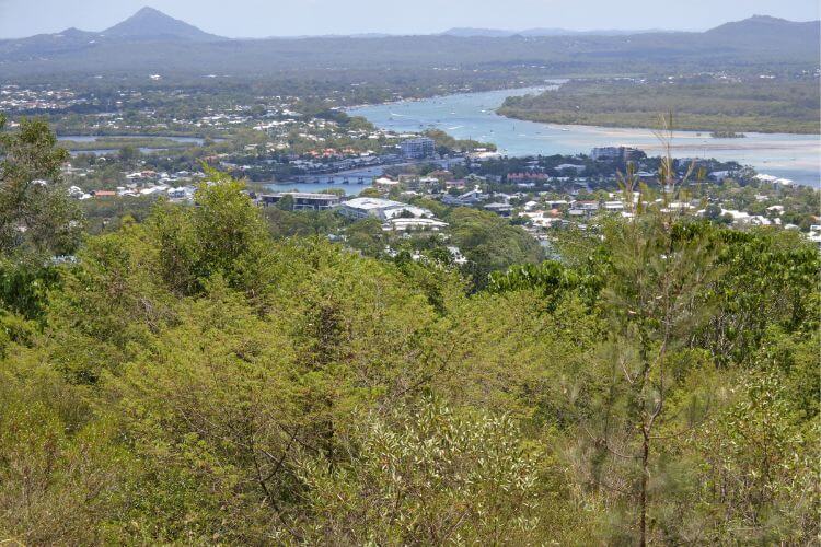 Aerial View of Noosa Heads on the Sunshine Coast, Australia