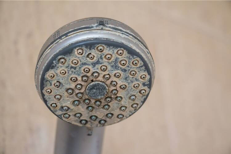 mineral build up on shower head
