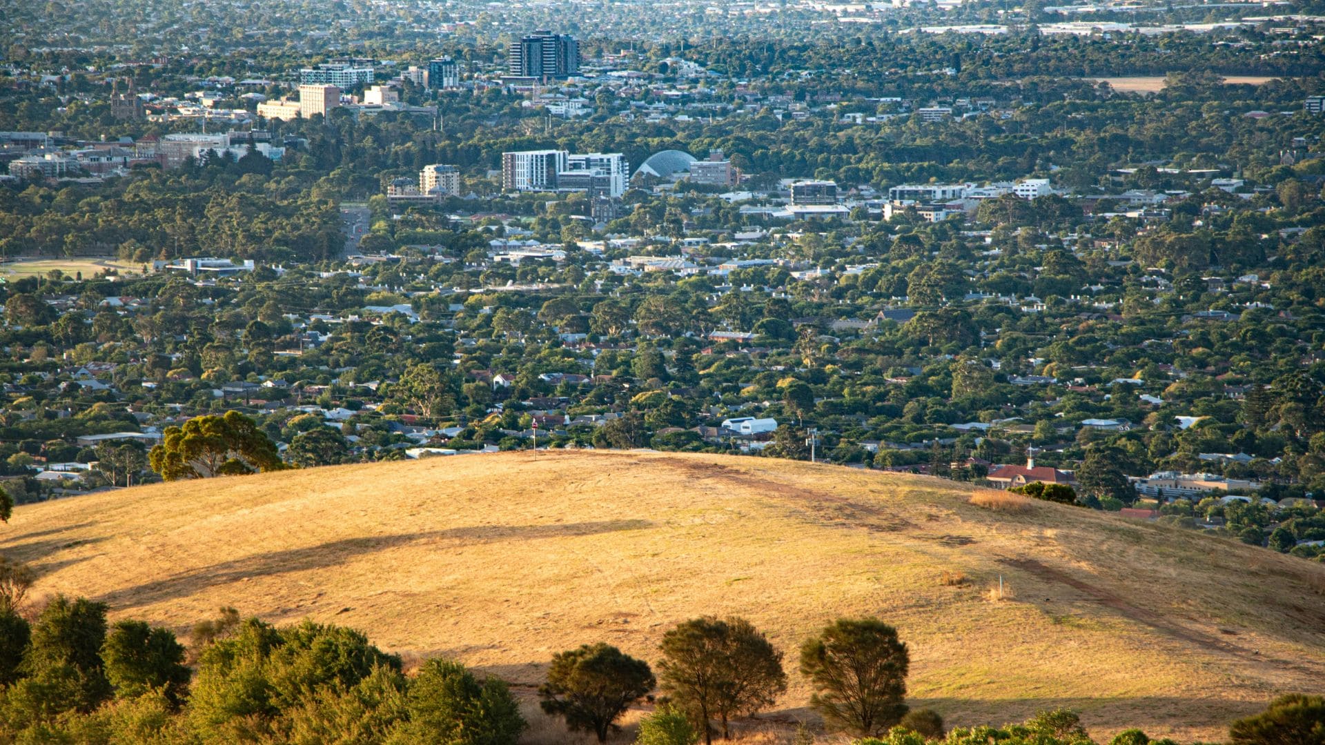 adelaide hills overlooking adelaide metro